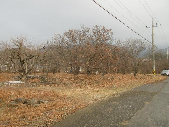 전라남도 구례군 산동면 좌사리 408-2 답 경매 사진 4