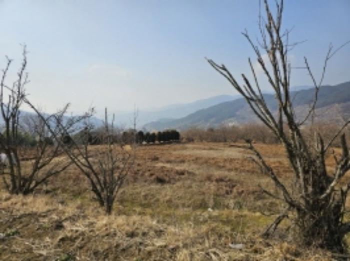 전라남도 구례군 산동면 좌사리 408-2 답 경매 사진 55