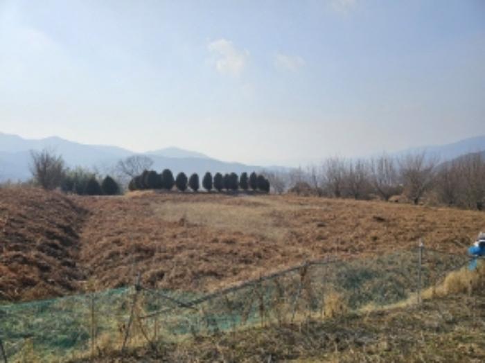 전라남도 구례군 산동면 좌사리 408-2 답 경매 사진 59