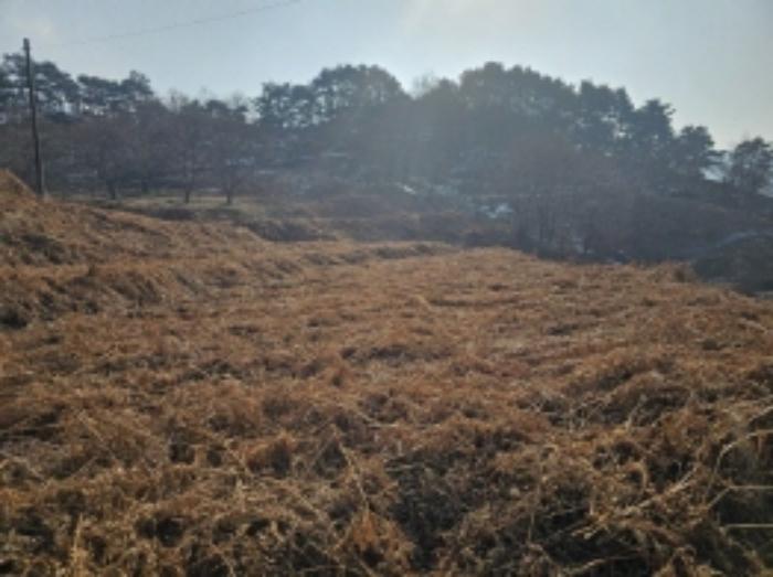 전라남도 구례군 산동면 좌사리 408-2 답 경매 사진 65