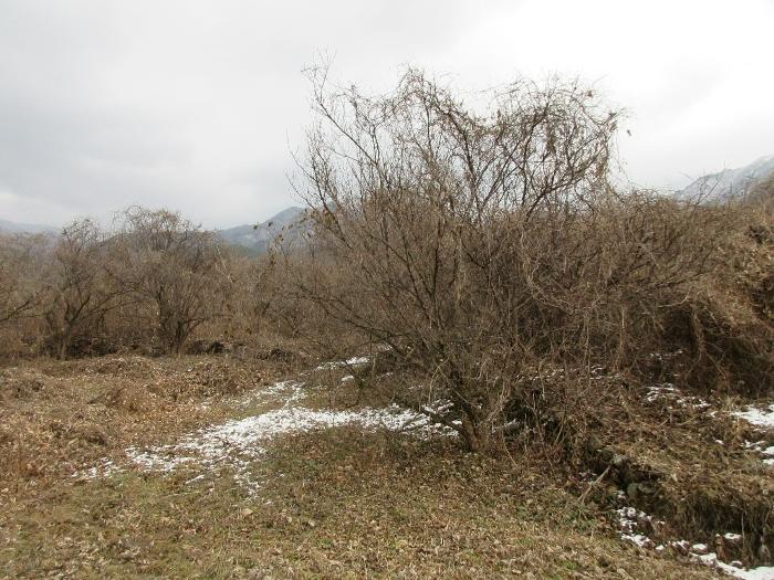 전라남도 구례군 산동면 좌사리 430 답 경매 사진 11