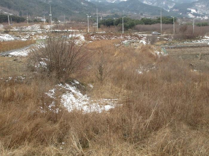 전라남도 구례군 산동면 좌사리 430 답 경매 사진 13