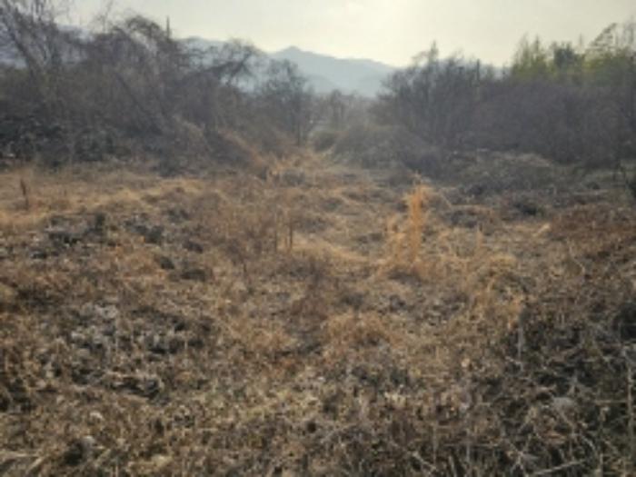 전라남도 구례군 산동면 좌사리 430 답 경매 사진 22