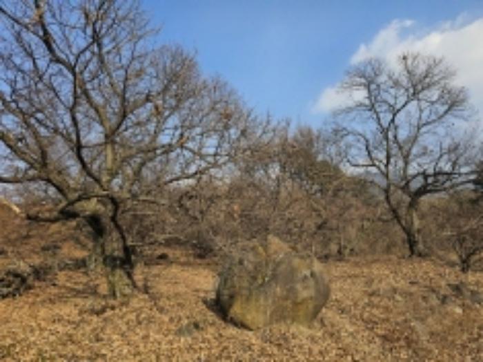 전라남도 구례군 산동면 좌사리 430 답 경매 사진 30