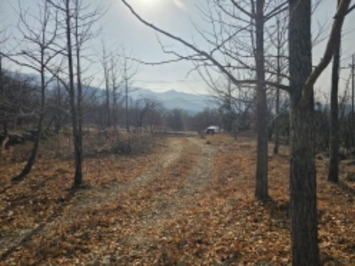 전라남도 구례군 산동면 좌사리 430 답 경매 사진 35