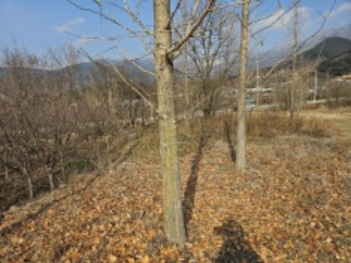 전라남도 구례군 산동면 좌사리 430 답 경매 사진 36