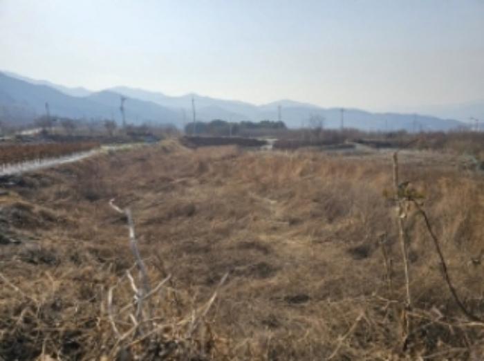 전라남도 구례군 산동면 좌사리 430 답 경매 사진 46