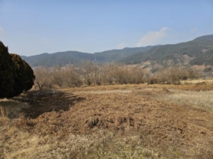 전라남도 구례군 산동면 좌사리 430 답 경매 사진 53