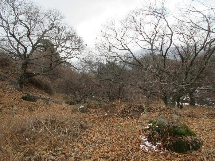 전라남도 구례군 산동면 좌사리 430 답 경매 사진 7