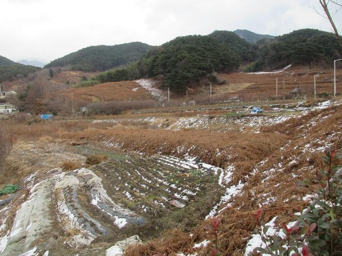 전라남도 구례군 산동면 좌사리 430 답 경매 사진 8