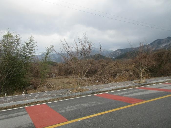 전라남도 구례군 전