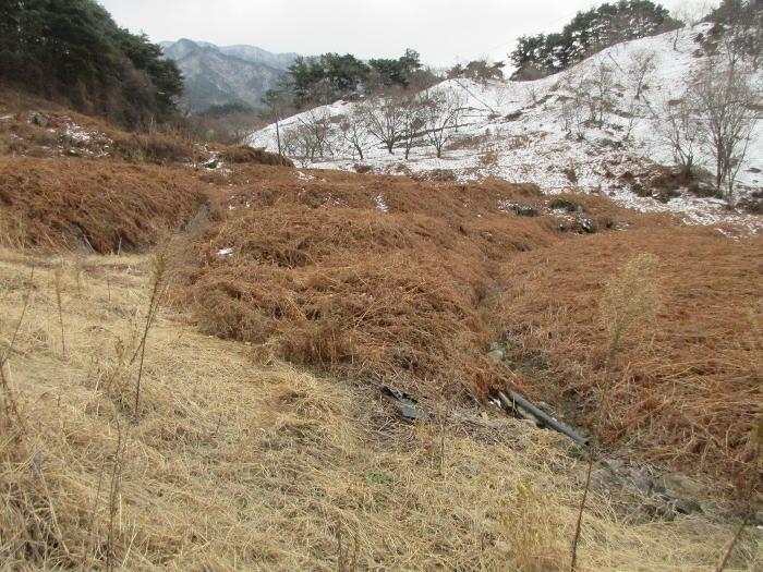 전라남도 구례군 산동면 좌사리 394 전 경매 사진 10