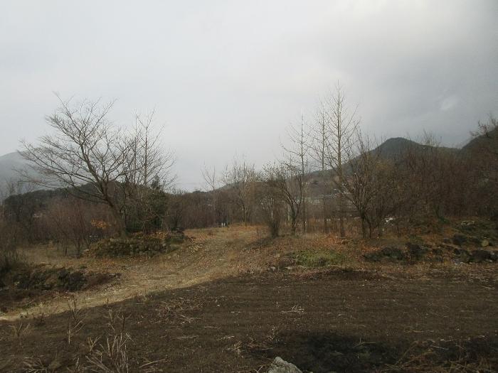 전라남도 구례군 산동면 좌사리 394 전 경매 사진 12