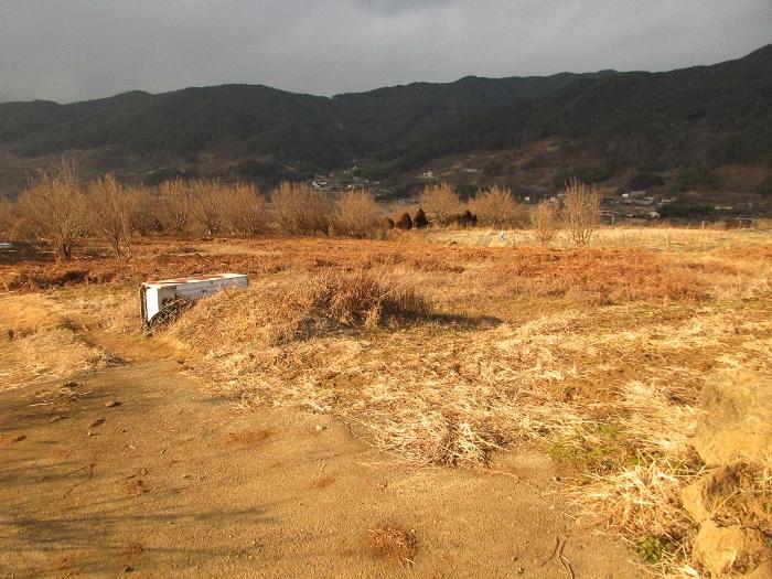 전라남도 구례군 산동면 좌사리 394 전 경매 사진 14