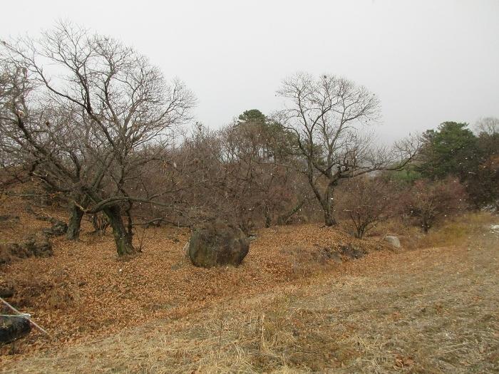 전라남도 구례군 산동면 좌사리 394 전 경매 사진 16