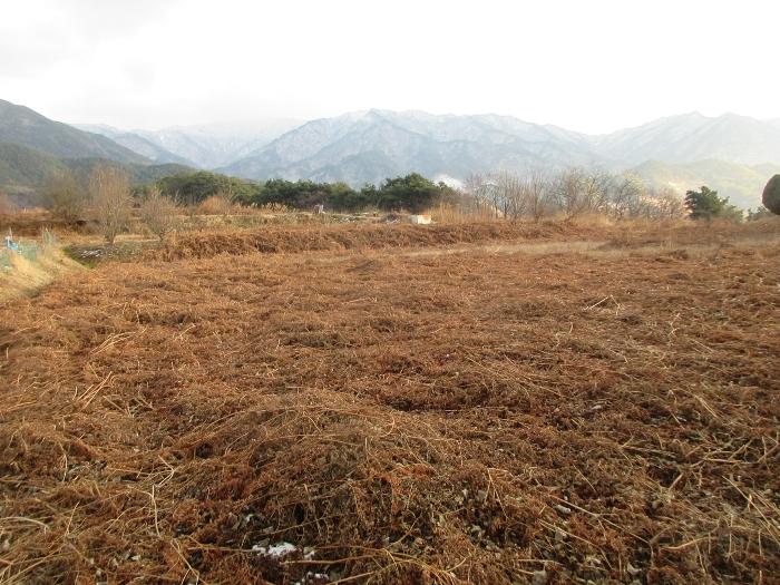 전라남도 구례군 산동면 좌사리 394 전 경매 사진 19