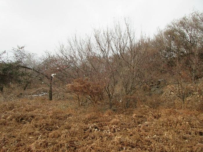 전라남도 구례군 산동면 좌사리 394 전 경매 사진 2