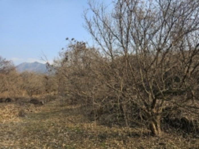 전라남도 구례군 산동면 좌사리 394 전 경매 사진 21