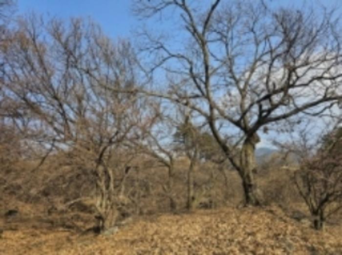 전라남도 구례군 산동면 좌사리 394 전 경매 사진 28