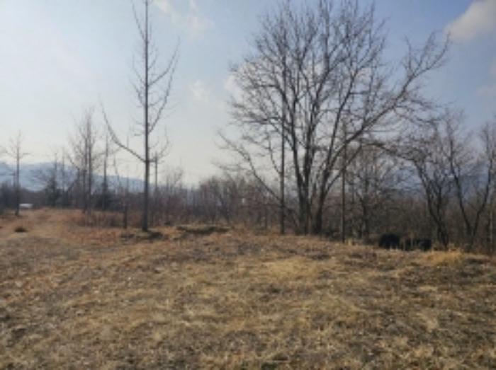 전라남도 구례군 산동면 좌사리 394 전 경매 사진 33