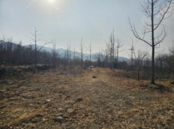 전라남도 구례군 산동면 좌사리 394 전 경매 사진 34