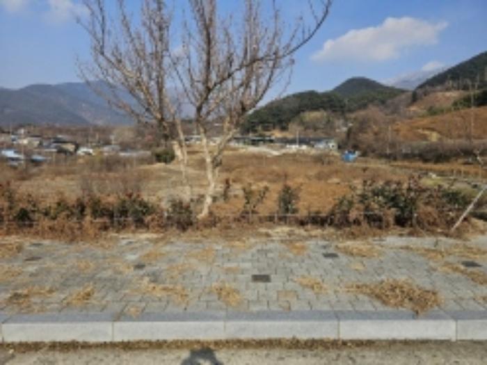 전라남도 구례군 산동면 좌사리 394 전 경매 사진 42