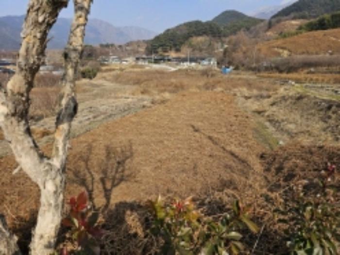 전라남도 구례군 산동면 좌사리 394 전 경매 사진 43