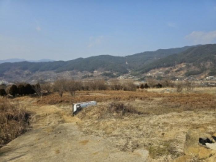 전라남도 구례군 산동면 좌사리 394 전 경매 사진 52