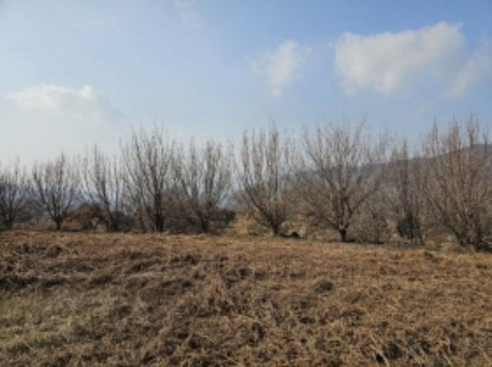 전라남도 구례군 산동면 좌사리 394 전 경매 사진 57