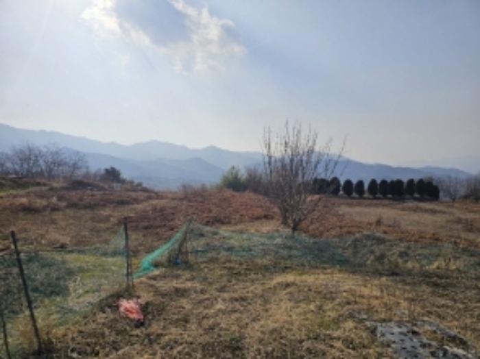 전라남도 구례군 산동면 좌사리 394 전 경매 사진 58