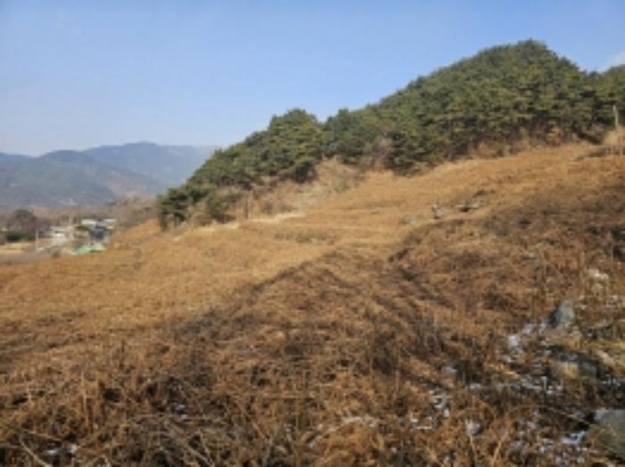 전라남도 구례군 산동면 좌사리 394 전 경매 사진 63