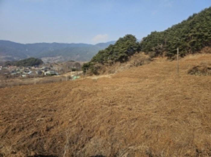 전라남도 구례군 산동면 좌사리 394 전 경매 사진 64