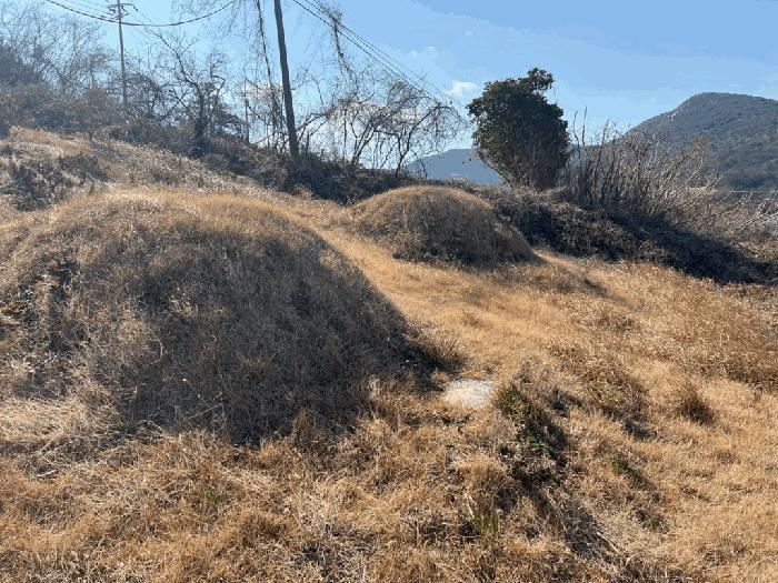 전라남도 완도군 보길면 중통리 1022-1 전 경매 사진 14