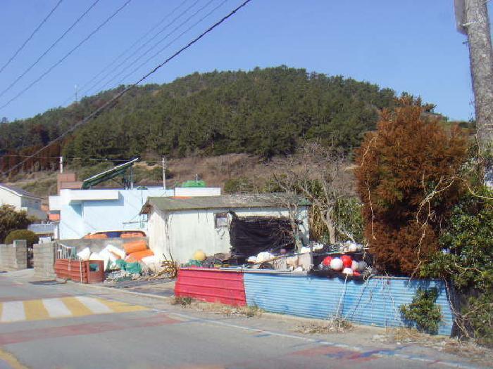 전라남도 완도군 보길면 중통리 1022-1 전 경매 사진 23