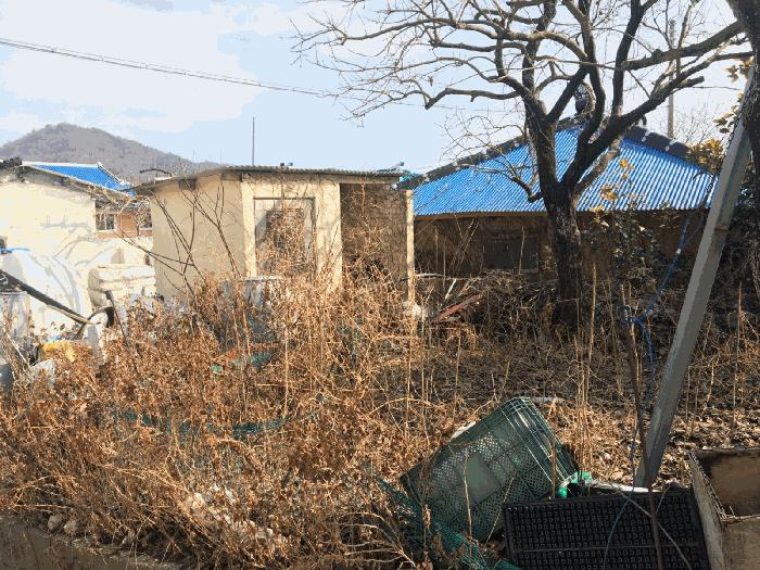 전라남도 진도군 의신면 연주리 563 임야 경매 사진 14