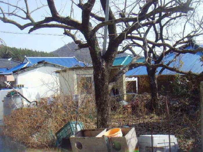 전라남도 진도군 의신면 연주리 563 임야 경매 사진 31