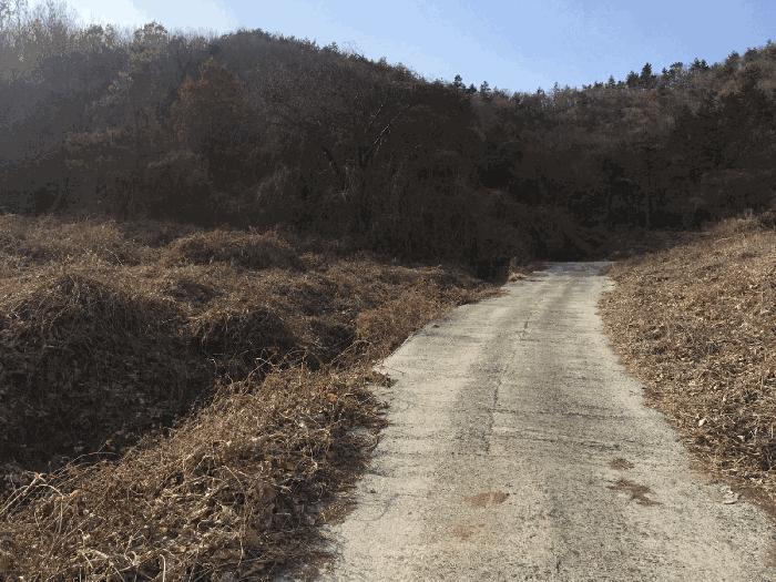 전라남도 진도군 의신면 연주리 426 주택 경매 사진 12
