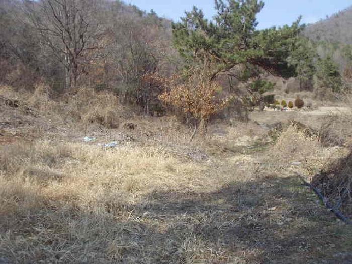 전라남도 진도군 의신면 연주리 426 주택 경매 사진 41