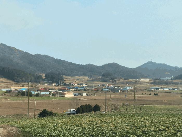 전라남도 진도군 의신면 연주리 426 주택 경매 사진 5