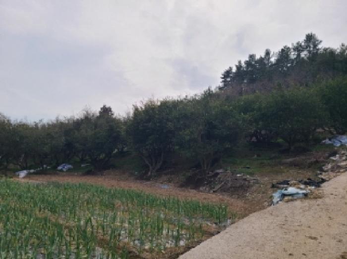 전라남도 완도군 금일읍 신구리 820-1 전 경매 사진 18