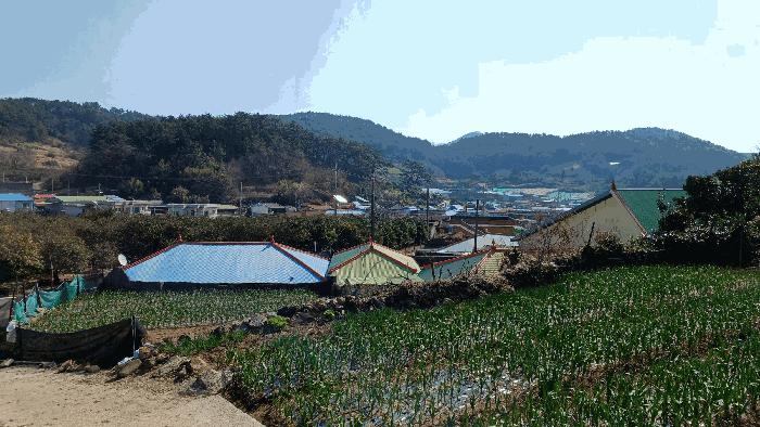 전라남도 완도군 금일읍 신구리 820-1 전 경매 사진 2