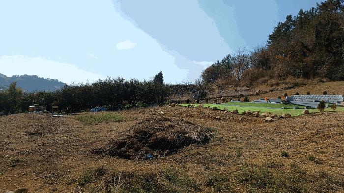 전라남도 완도군 금일읍 신구리 820-1 전 경매 사진 9