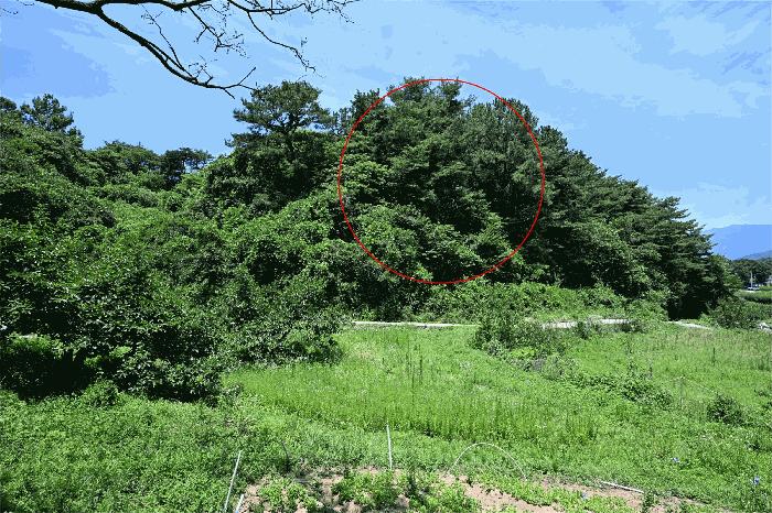 전라남도 광양시 대지