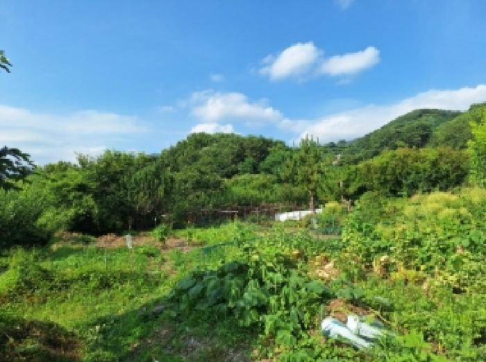 전라남도 광양시 옥룡면 율천리 573-1 대지 경매 사진 16