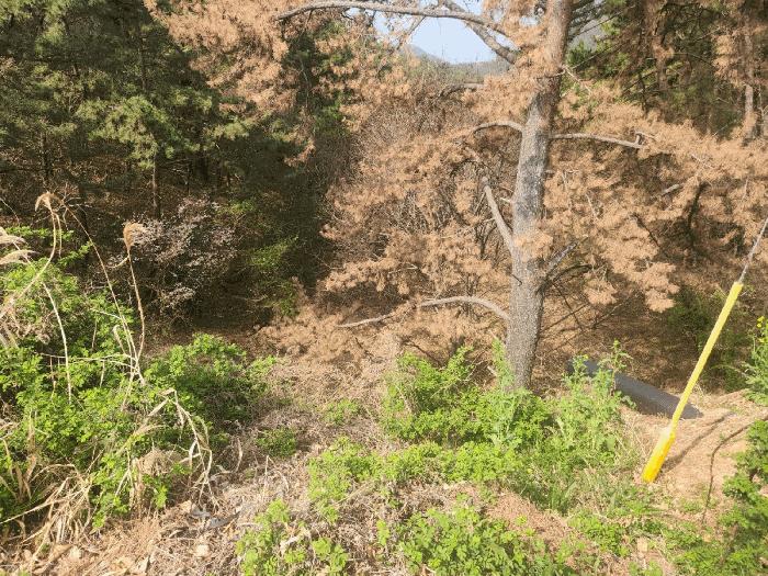 경상남도 고성군 삼산면 두포리 238 전 경매 사진 7