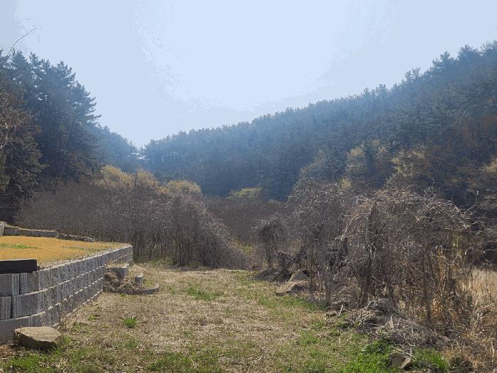 경상남도 고성군 삼산면 두포리 239-2 답 경매 사진 4