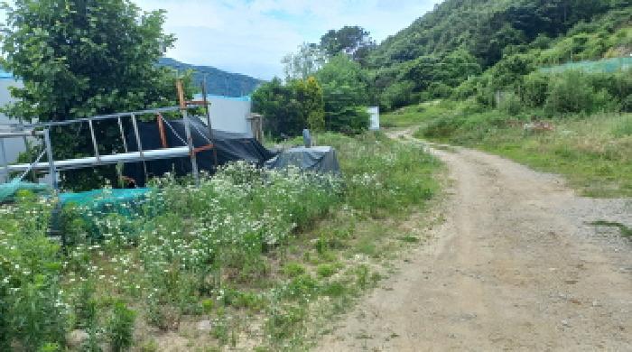 경상남도 거제시 수월동 180-2 답 경매 사진 11