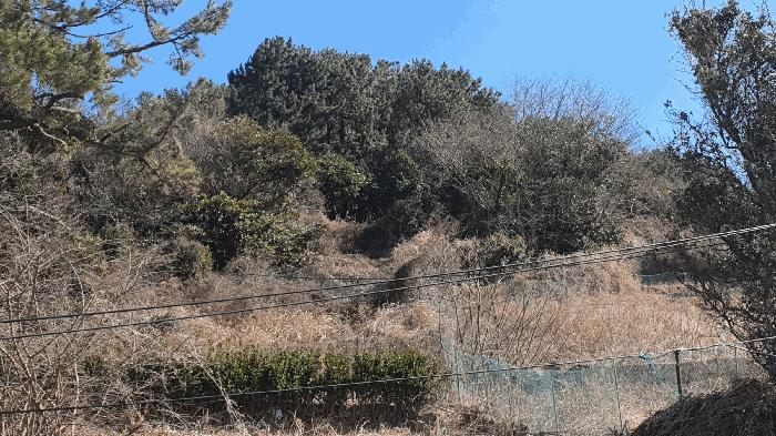 전라남도 여수시 남면 횡간리 149 전 경매 사진 4