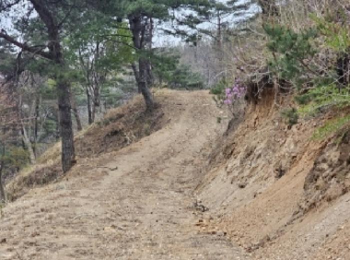 전라남도 순천시 석현동 산138 임야 경매 사진 5