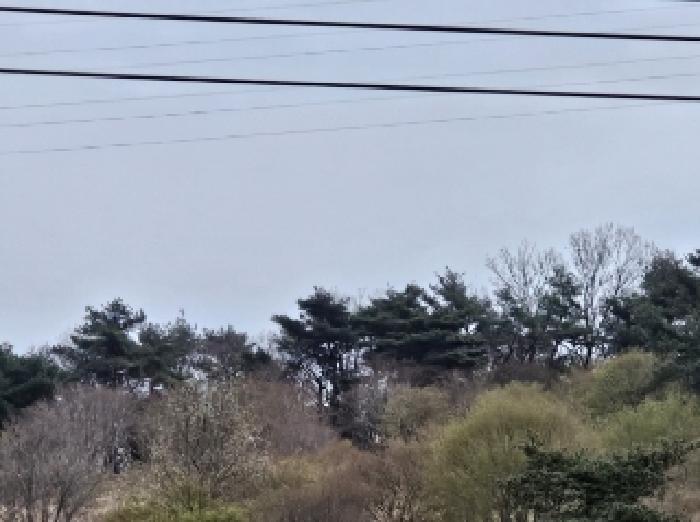 전라남도 순천시 석현동 산138 임야 경매 사진 6